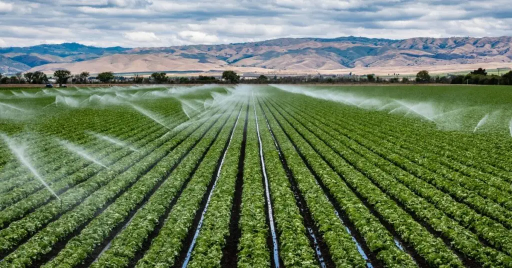 Field irrigation sprinklers spray water onto a a field of crops in a valley near some mountains on a partly cloudy day.